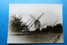 Grote-Brogel Groote-Brogel Regio Peer  Fotokaart Windmolen Molen Moulin A Vent /druk Minstens Van Of Ouder Dan  1974 - Peer