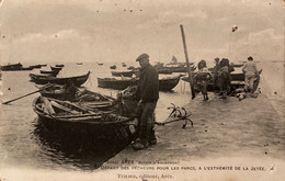 Arès - Départ Des Pêcheurs Pour Les Parcs - A L’extrémité De La Jetée - Pêche Ostréiculture - Arès