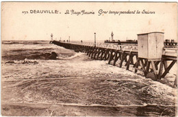 6ED 92 CPA - DEAUVILLE - LA PLAGE FLEURIE - Deauville