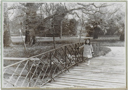 13 / MARSEILLE / PARC BORELY / TRES BELLE ET GRANDE PHOTO ORIGINALE / 1936 / - Parcs Et Jardins