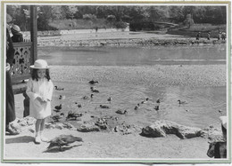 13 / MARSEILLE / PARC BORELY / TRES BELLE ET GRANDE PHOTO ORIGINALE / 1936 / - Parcs Et Jardins