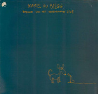* LP *  RAYMOND VAN HET GROENEWOUD - KAMIEL IN BELGIE (Holland 1978 EX-!!) - Autres - Musique Néerlandaise