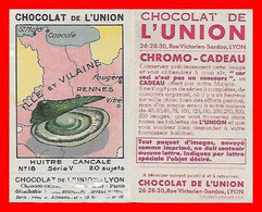 CHROMOS. Chocolat De L'UNION (Lyon). Coquillage. Huitre De Cancale N°16  Série V...O585 - Other