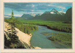 Canada  - Alberta -  Parc National  De Jasper -  La Riviere Athabasca - Jasper