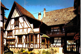 Dambach Vieille Maison Alsacienne - Dambach-la-ville