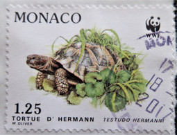 Timbre De Monaco 1991 Endangered Specie  Stampworld N° 2055 - Used Stamps