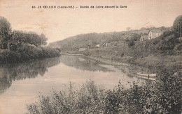 LE CELLIER - Bords De Loire Devant La Gare - Le Cellier