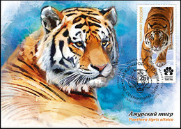 Russia 2022 New International Tiger Forum, Animal Maxicard , Maxi Card, Maximum Card (**) - Storia Postale