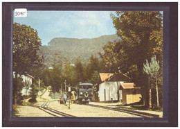 FORMAT 10x15cm - MG - FERROVIA MONTE GENEROSO - REPRO ANNEES 70 - LEUTWILER VERLAG - TRAIN - BAHN - TB - Wiler Bei Utzenstorf