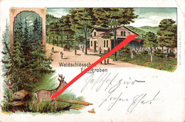 Litho AK Eichgraben Waldschlößchen Gasthof Zittau Hartau Olbersdorf Oybin Lückendorf Bertsdorf Hörnitz Jonsdorf Grottau - Hartau