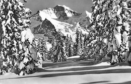 Wengen Winterlandschaft Mit Jungfrau - Wengen