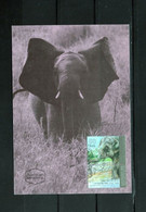 ISRAEL ELEPHANTS FDC - Maximumkarten