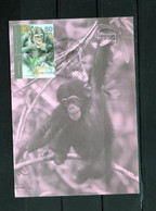 ISRAEL SINGE MONKEY FDC - Maximum Cards