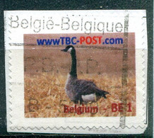 Belgique Timbre TBC - Oie (o) Sur Fragment - Privat- Und Lokalpost [PR & LO]