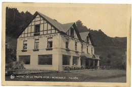 - 2528 - FALAEN (Montaigle , Anhée Et Environs )  Hotel De La Truite D'or - Onhaye