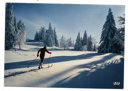 Jura --près Lajoux-39-- Ski Nordique Dans Le Haut-Jura ...........à Saisir.. - Deportes De Invierno