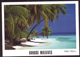 AK 077118 MALDIVES - Bandos - Maldives