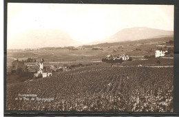 Carte P De 1926 ( Auvernier Et Le Trou De Bourgogne ) - Auvernier