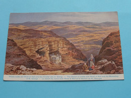 The Desert Of JUDEA With Wadi El Kelt.... ( Série 787 - Palästina N° 53 - Printed Germany ) Anno 19?? ( See SCAN ) ! - Israël