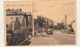 Carte Postale Ottignies L'avenue Des Combattants - Ottignies-Louvain-la-Neuve