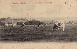 Carte Postale Neuville En Condroz Panorama Et Paysage - Neupre