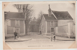 Montgeron (91 - Essonne)  Entrée Du Château - Montgeron