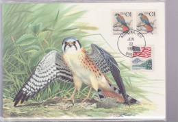 ETATS UNIS CARTE MAXIMUM NUM.YVERT 1952 FAUNE OISEAU RAPACE - Maximumkarten (MC)