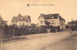 Carte Postale Ancienne Belgique - Stockel Avenue De L' Escrime - Woluwe-St-Pierre - St-Pieters-Woluwe