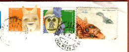 Portugal / 2005 Portuguese Masks, 2006 Portuguese Masks,  2006 Portuguese Coastal Fish - Storia Postale