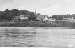 45 - COMBLEUX : L'Eglise Et La Loire - CPSM Dentelée N/B Village Format CPA 1953 - Loiret - Autres & Non Classés