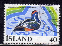 ISLANDA ICELAND ISLANDE ISLAND 1977 WETLANDS CONSERVATION EUROPEAN CAMPAIGN HARLEQUIN DUCK 40k USED USATO OBLITERE' - Used Stamps