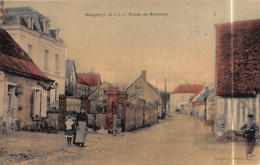 REUGNY (Indre-et-Loire) - Route De Monnaie - Carte Toilée Couleurs - Reugny