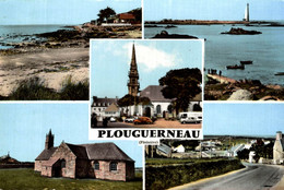 29 PLOUGUERNEAU MULTI VUES - Plouguerneau