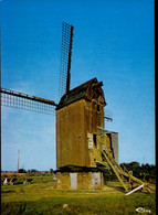 STEENVOORDE    ( NORD )   MOULIN EN FLANDRE - Steenvoorde