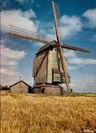 WORMHOUT  ( NORD )   MOULIN EN FLANDRE - Wormhout