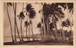 PC OCEANIA, UN ORAGE SUR SAMOA, Vintage Postcard (b44294) - Papouasie-Nouvelle-Guinée