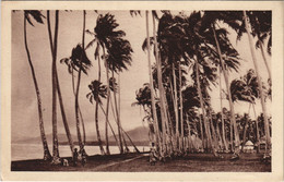 PC OCEANIA, UN ORAGE SUR SAMOA, Vintage Postcard (b44300) - Papouasie-Nouvelle-Guinée