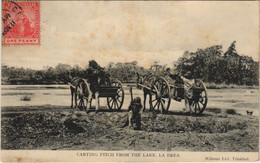 PC TRINIDAD, CARTING PITCH FROM THE LAKE, LA BREA, Vintage Postcard (b44166) - Trinidad