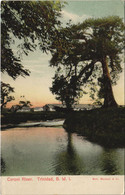 PC TRINIDAD, CARONI RIVER, Vintage Postcard (b44169) - Trinidad