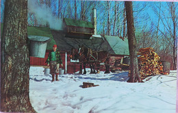 C. P. A. : U.S.A. : Maple Sugar Time In VERMONT - Other & Unclassified