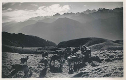 Lungern - Morgenstimmung Auf Breitenfeld        Ca. 1930 - Lungern