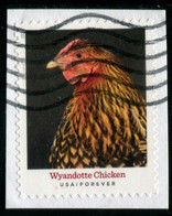 VEREINIGTE STAATEN ETATS UNIS USA 2021 HERITAGE BREEDS: WYANDOTTE CHICKEN F USED ON PAPER SC 5584 MI 5817 YT 5426 - Oblitérés