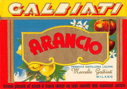 014322 "MILANO - DISTILLERIA MARCELLO GALBIATI - SCIROPPO ARANCIO"  ETICHETTA II QUARTO XX SEC. - Fruits Et Légumes