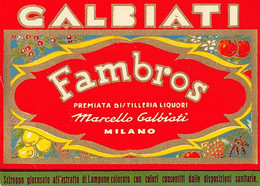014324 "MILANO - DISTILLERIA MARCELLO GALBIATI - SCIROPPO LAMPONE - FAMBROS"  ETICHETTA II QUARTO XX SEC. - Frutas Y Legumbres