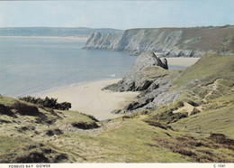 Postcard Pobbles Bay Gower Wales My Ref B25600 - Glamorgan