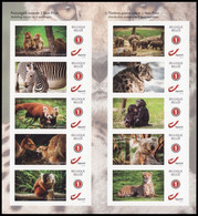 DUOSTAMP** / MYSTAMP** - Zoo Planckendael - Autocollant / Zelfklevend / Selbstklebend - Chimpanzés