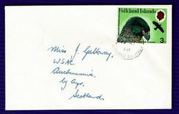 Ref 1566 - 1980 Cover Falkland Islands 3p Rate To Ayr Scotland - Forster's Caracara Bird - Falkland Islands