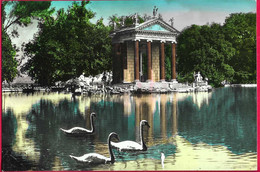 ROMA -VILLA BORGHESE - IL LAGHETTO - EDIZ. FOTORAPIDA TERNI - B/N COLORATO - VIAGGIATA 1960 - Parks & Gärten
