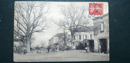 81 , Pyulaurens ,l'avenue De Saint Paul En 1909 - Puylaurens