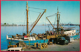 CPM Polynésie Française - TAHITI - Déchargement De Coprah En Provenance De L'Archipel Des Tuamotu ** Bateau Ship - Polynésie Française